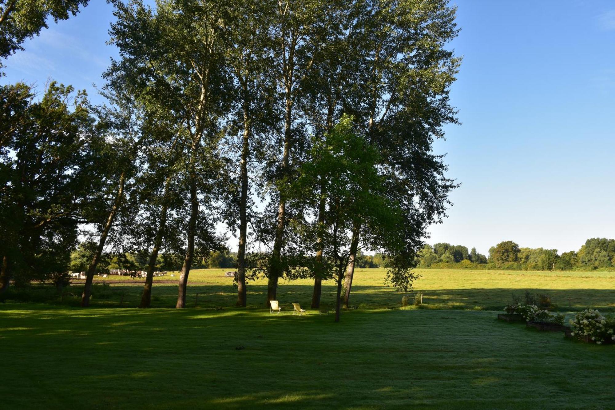Domaine De L'Ermitage Bed & Breakfast Berry-Bouy Luaran gambar