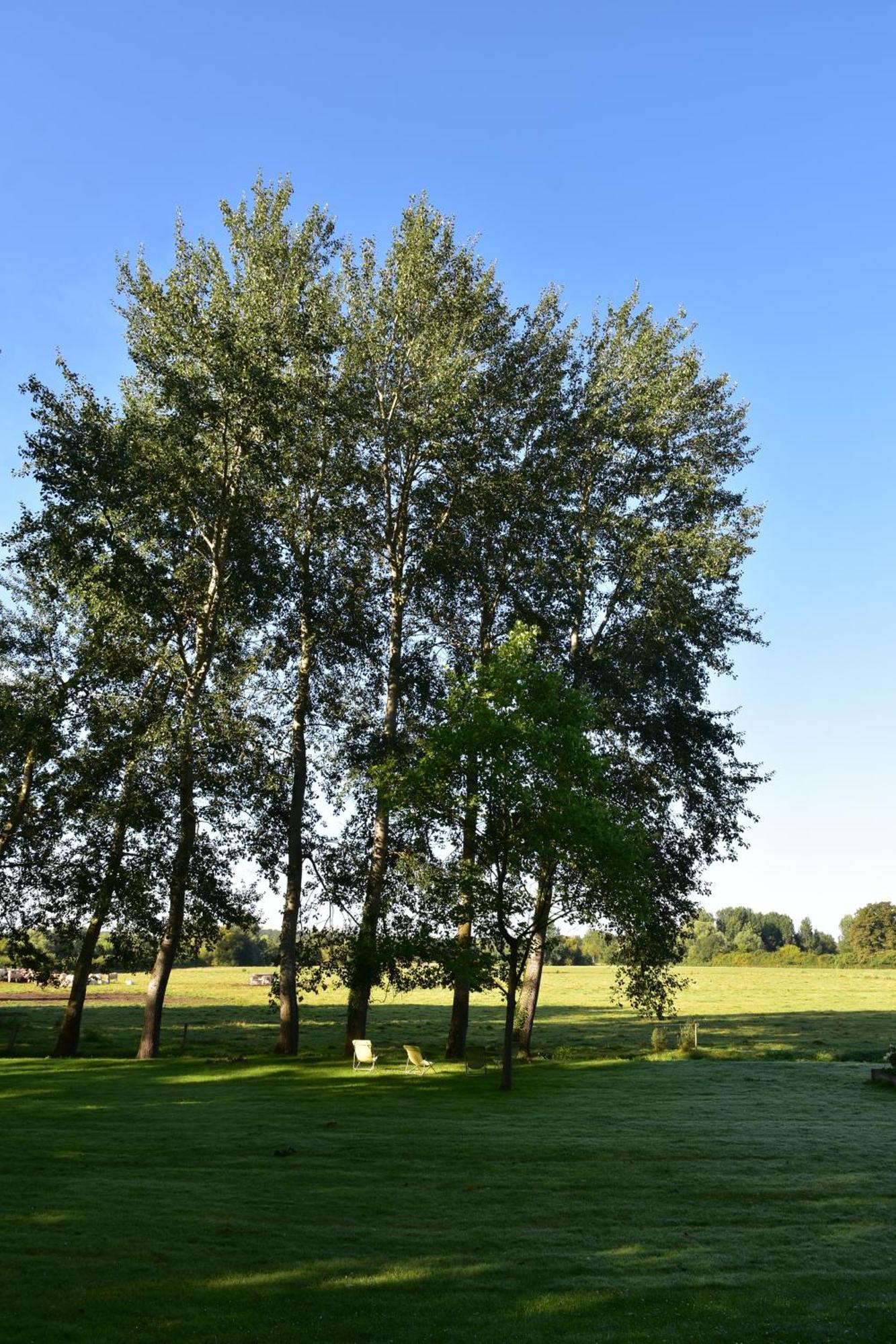 Domaine De L'Ermitage Bed & Breakfast Berry-Bouy Luaran gambar