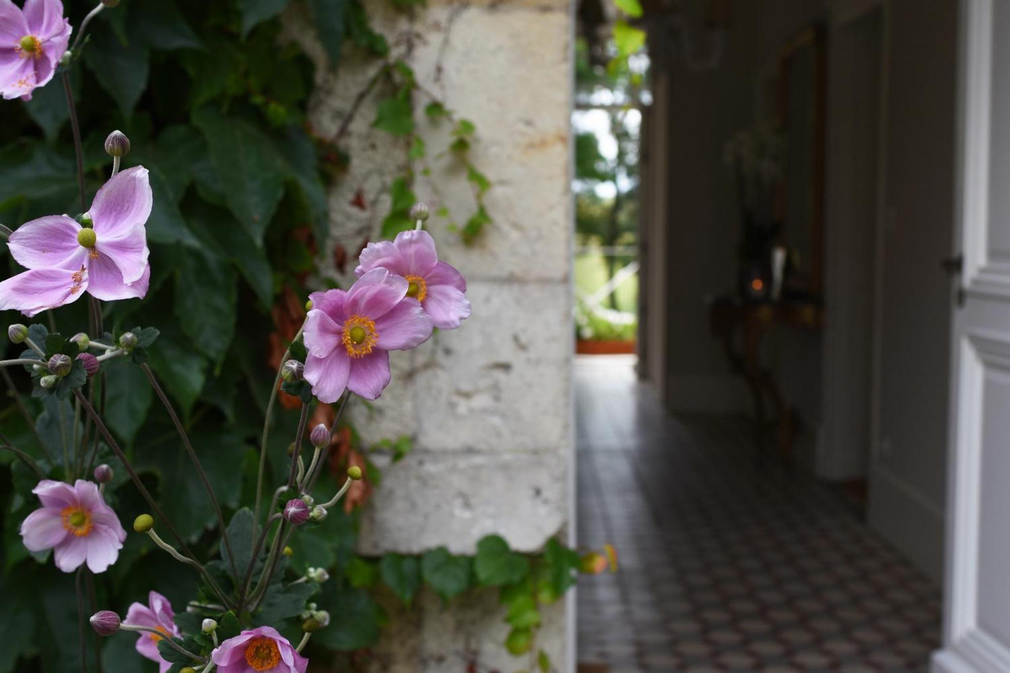 Domaine De L'Ermitage Bed & Breakfast Berry-Bouy Luaran gambar